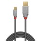 Lindy 0.5m USB 2.0 Type A to Lindy 0.5m USB 2.0 Type A to